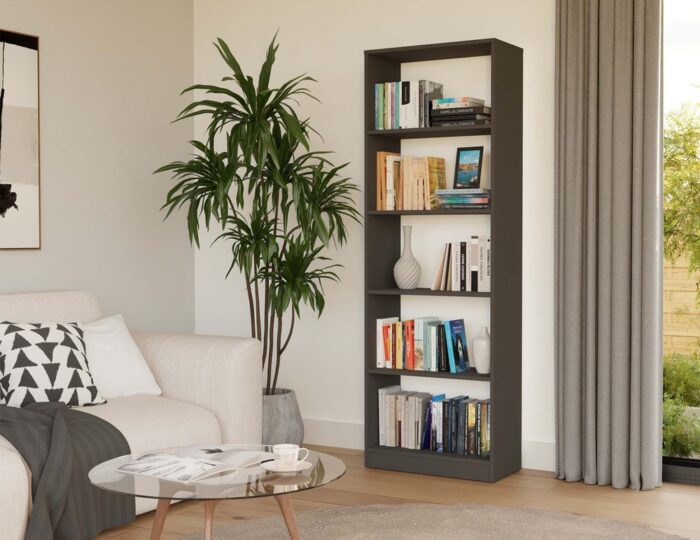 Onyx R60 Anthracite Bookcase - Image 2