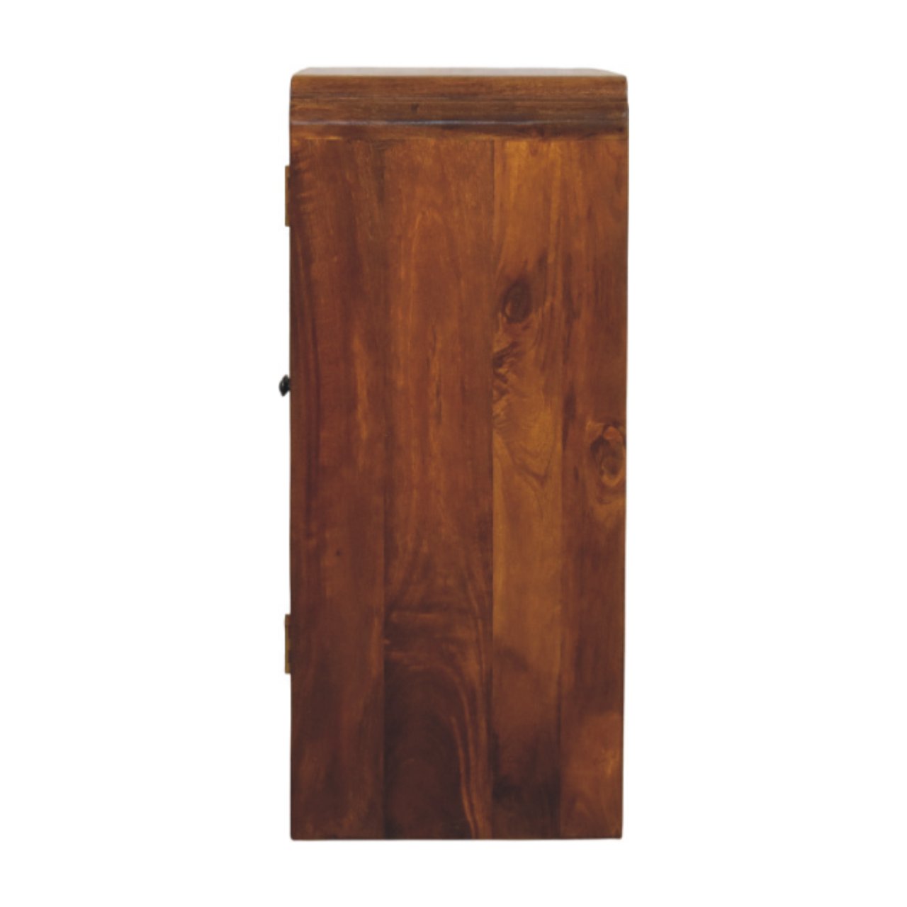 IN4009-8.jpg Newton Chestnut Cabinet - Image 7