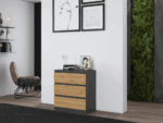 Malwa M3 Compact Cabinet – Anthracite & Oak - Image 8