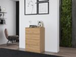 Malwa M4 Chest of Drawers - Artisan Oak - Image 10